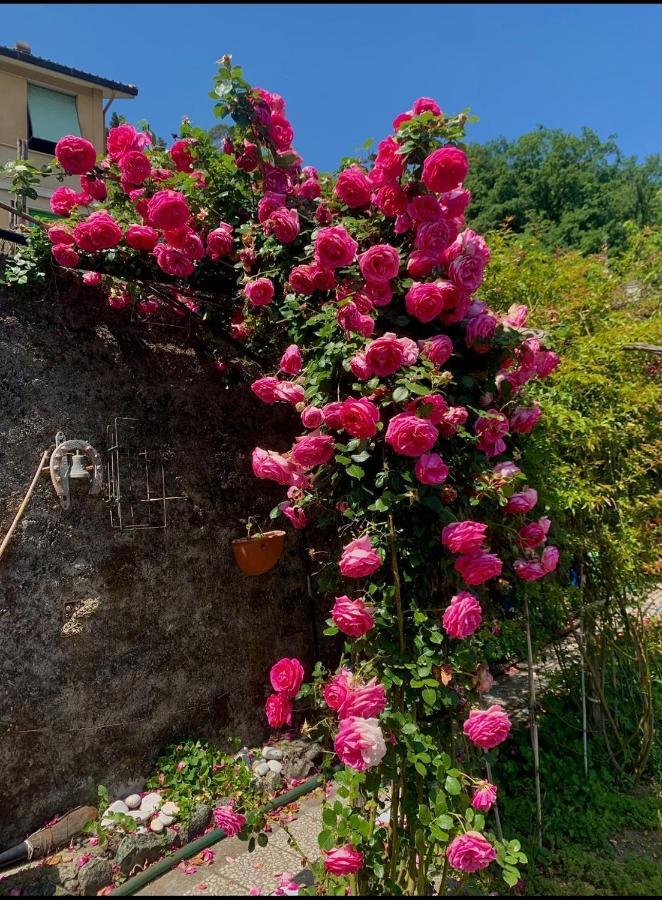 Ca' De Natta Villa Sestri Levante Ngoại thất bức ảnh