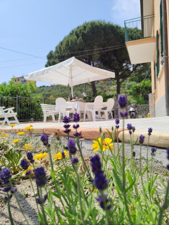 Ca' De Natta Villa Sestri Levante Ngoại thất bức ảnh